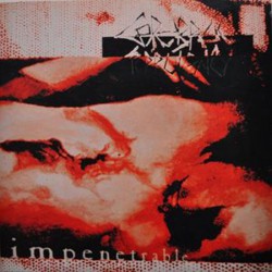 CEREBRAL TURBULENCY - Impenetrable (LP)