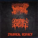 ABHORER/BRAIN DEAD - Zygotical Ecstacy (CD)