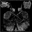 COFFIN CURSE/VIOLENT SCUM - Immersed In Cryptic Stench (CD)