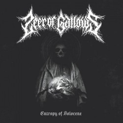 SEER OF GALLOWS - Entropy of Holocene (LP)