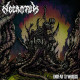 NECROTUM - Undead Symbiosis (CD)