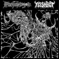 PHANTASMAGORE/FLESHROT  - Twisted Visions of Abominations (CD)